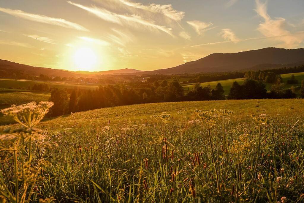 Bayerwald Chalet Kaitersberg Mit Sauna, Sonnenterrasse Und Garten アルンブルック エクステリア 写真