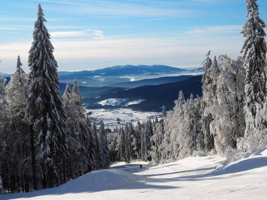 Bayerwald Chalet Kaitersberg Mit Sauna, Sonnenterrasse Und Garten アルンブルック エクステリア 写真